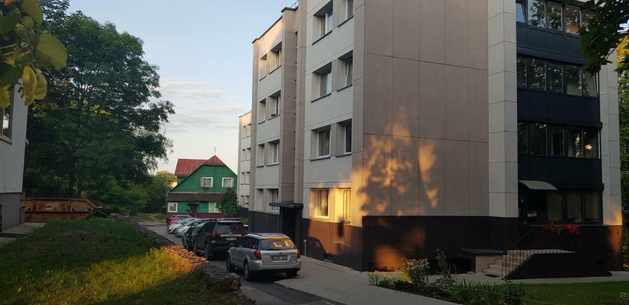 Stilingi Apartamentai Su Virtuve Traku Miesto Centre Trakai Dış mekan fotoğraf