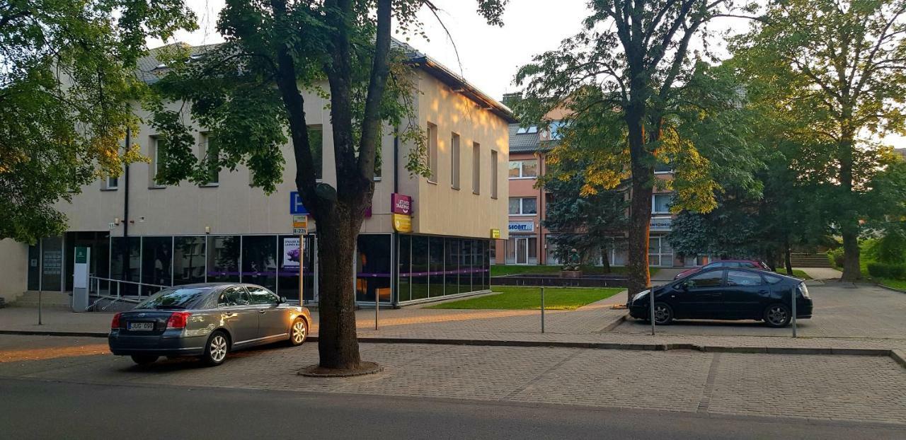Stilingi Apartamentai Su Virtuve Traku Miesto Centre Trakai Dış mekan fotoğraf